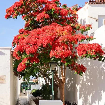 Cozy Duplex In Apartment Costa Del Silencio